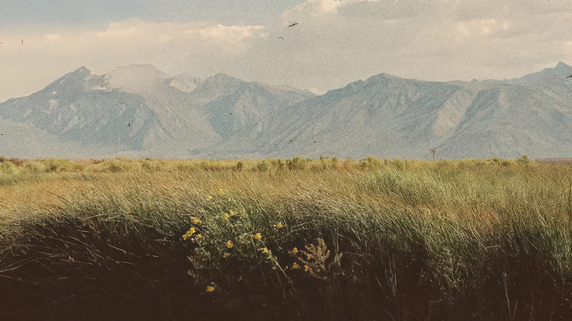 Everyday Prayers for Ordinary People, current sermon series artwork of a windswept field before mountains